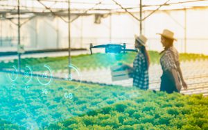 5G RuralDorset novi je partner Qualcomma za 5G poljoprivredu