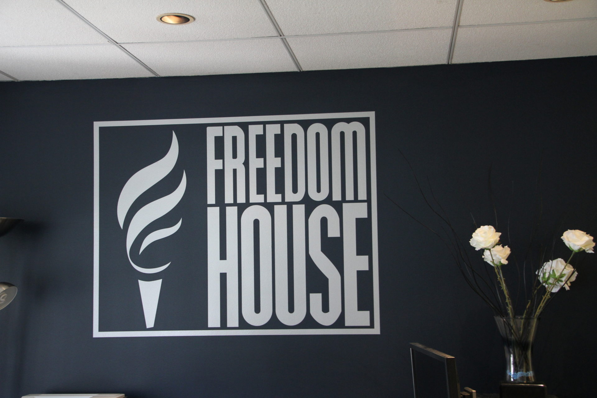 Организация дом свободы. Freedom House офис. Freedom House вывеска. Лого Фридом Хаус PNG. Freedom and Organization.